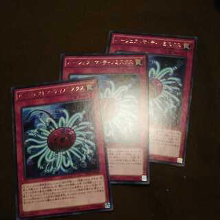 バージェストマ・ディノミスクス