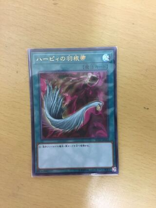 ハーピィの羽根帚 ウルトラレア
