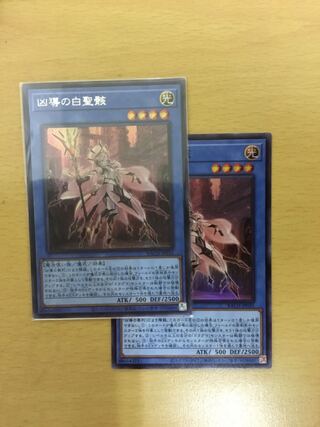 Two white holy corpses of evil guidance.