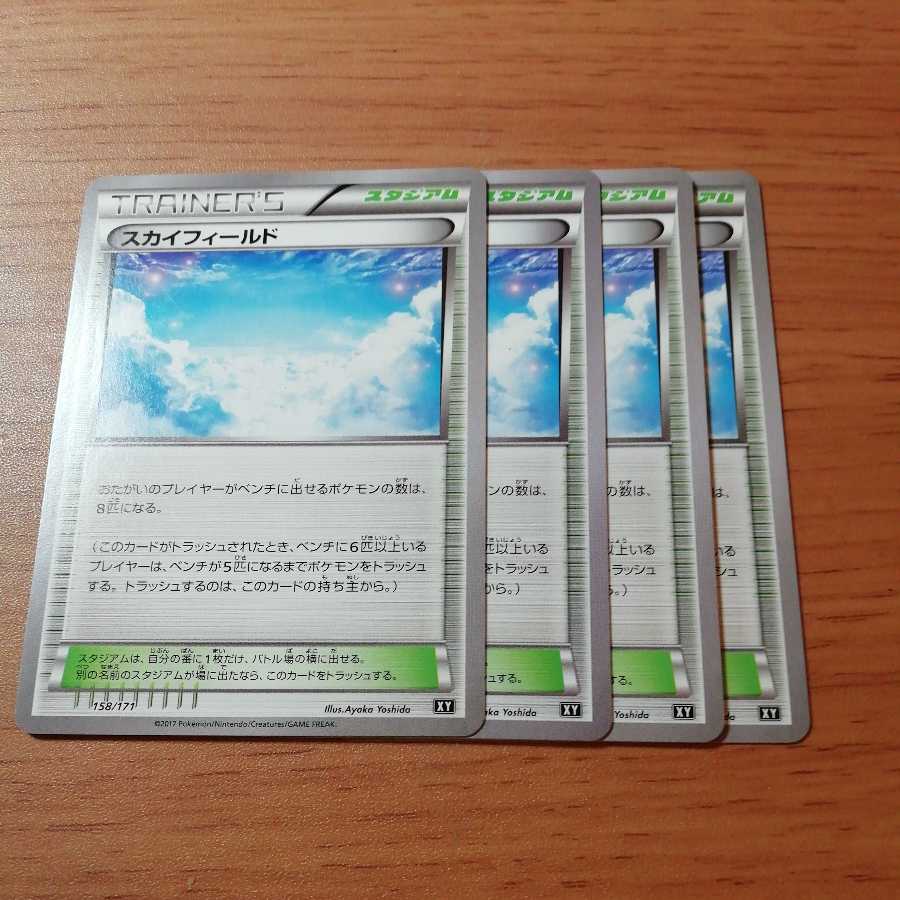 スカイフィールド