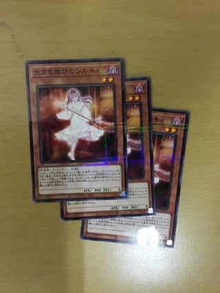 生きる偲びのシルキィ　3枚