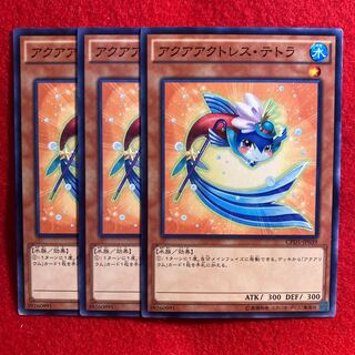 アクアアクトレス・テトラ☆4770