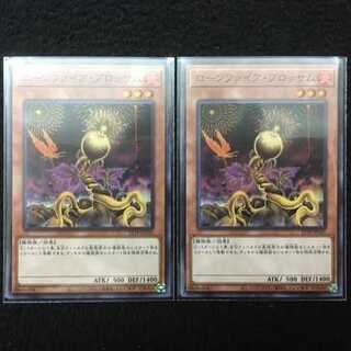 【未使用美品】21TP-JP101 ローンファイア・ブロッサム　スーパー　２枚