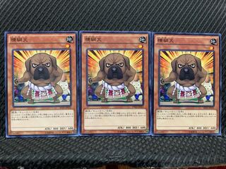 【ぽぽたん】遊戯王 8125 横綱犬 3枚 ノーマル