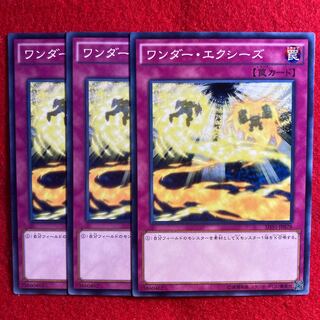 ワンダー・エクシーズ☆4799