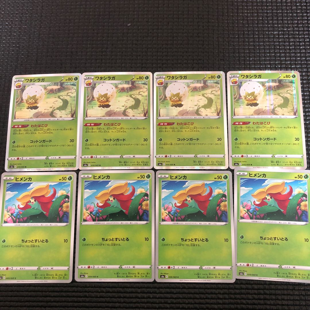 ワタシラガ進化ライン