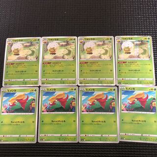 ワタシラガ進化ライン