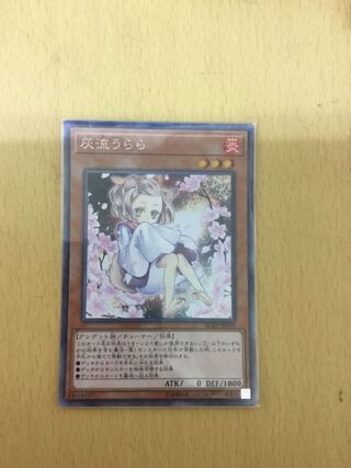 Ash Blossom & Joyous Spring Collector's Rare