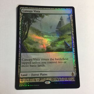 エルコンドル様専用 梢の眺望/Canopy Vista 英 EXP 1枚