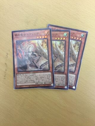 白の聖女エクレシア