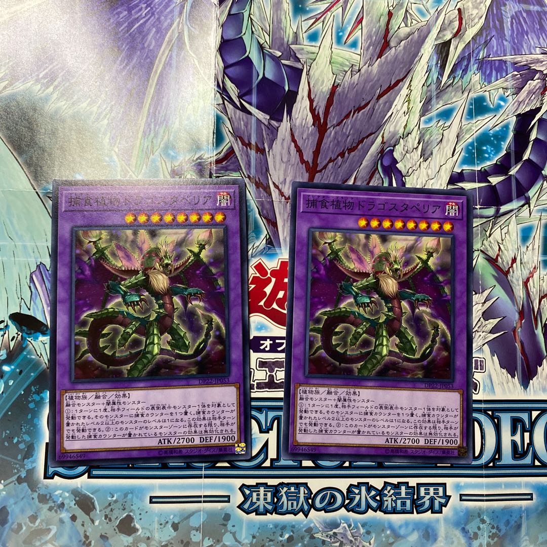 遊戯王 捕食植物ドラゴスタペリア ノーマル 2枚