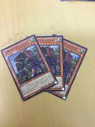 Gryphon Rider of Drift