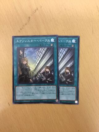 エクソシスター・パークス