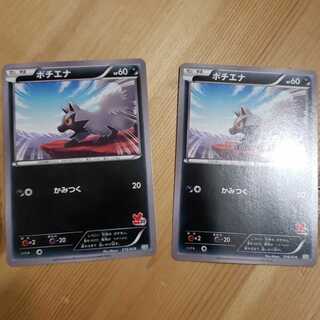 ポチエナ(フォッコ)