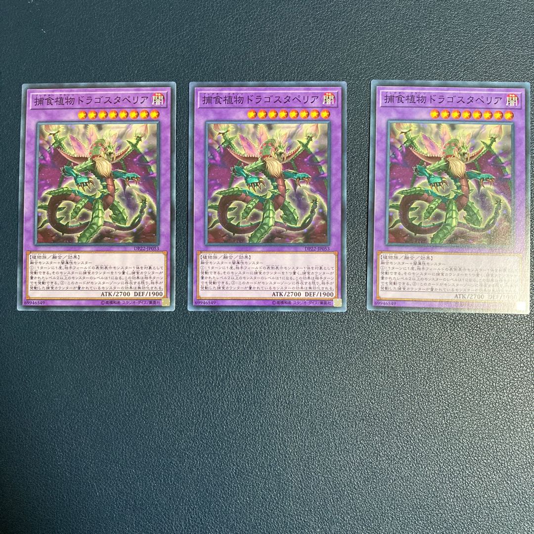 捕食植物ドラゴスタペリア ノーマル　3枚セット