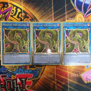 Predaplant Verte Anaconda (Pregol US) Set of 3