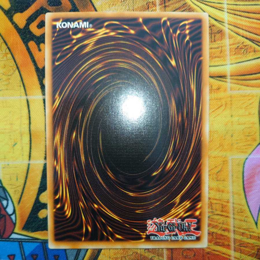 ドラゴンメイドのお心づくし(ゴールドレア英語)