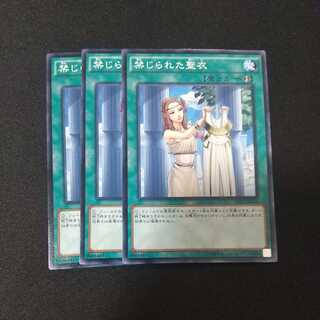 禁じられた聖衣 ノーマル