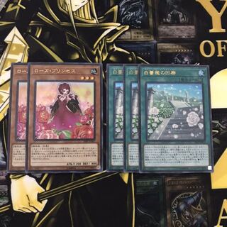 ローズプリンセス、白薔薇の回路