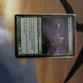 Bloom Tender (English) The Squirrel edition