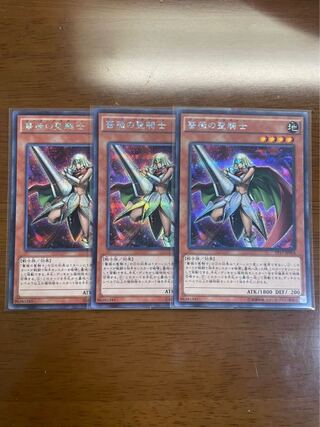 薔薇の聖騎士 シークレットレア 3枚