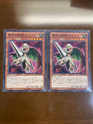 薔薇の聖騎士 ノーマル 2枚