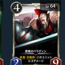 歴戦のパラディン