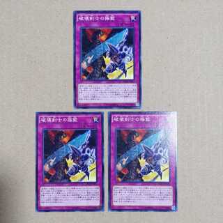 破壊剣士の揺籃