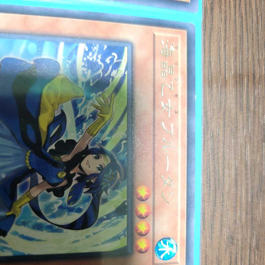 海晶乙女ブルータン レア