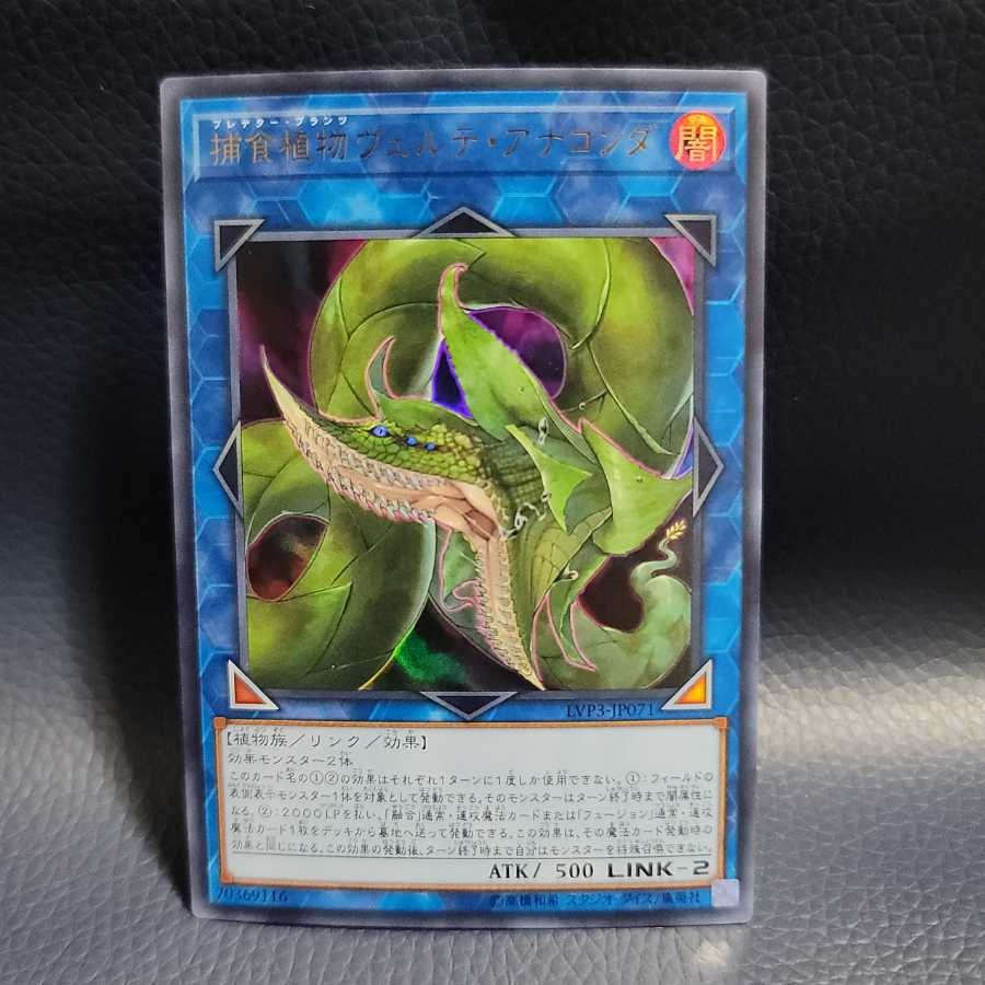 捕食植物ヴェルテ・アナコンダ UR