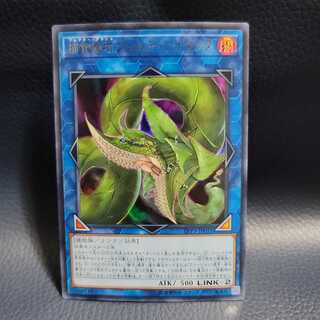 捕食植物ヴェルテ・アナコンダ UR