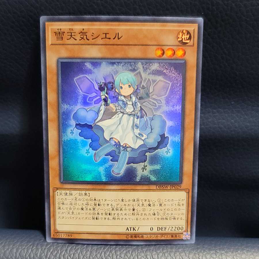 雪天気シエル SR