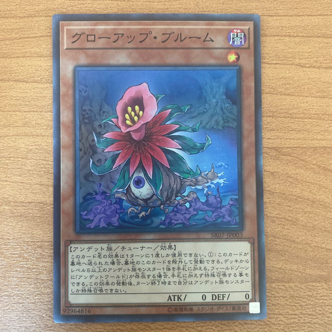 グローアップ・ブルーム