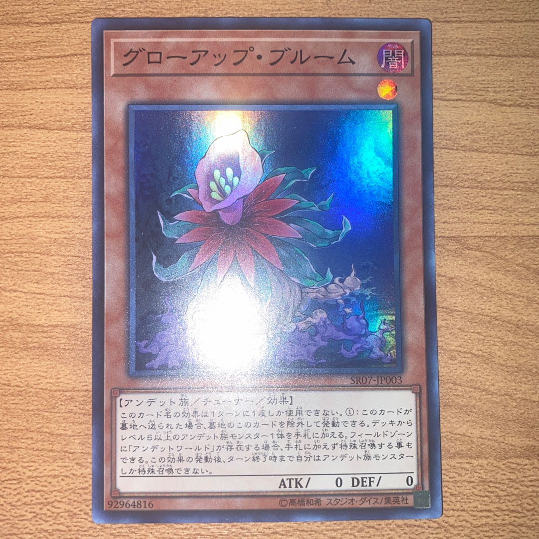 グローアップ・ブルーム