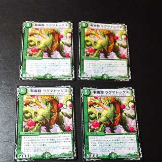 有毒類 ラグマトックス U 26/37 [1124]