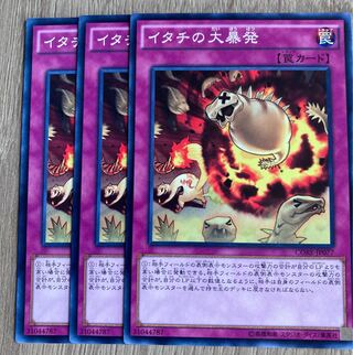 イタチの大暴発 ノーマル　3枚