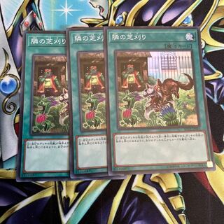 隣の芝刈り スーパーレア３枚セット