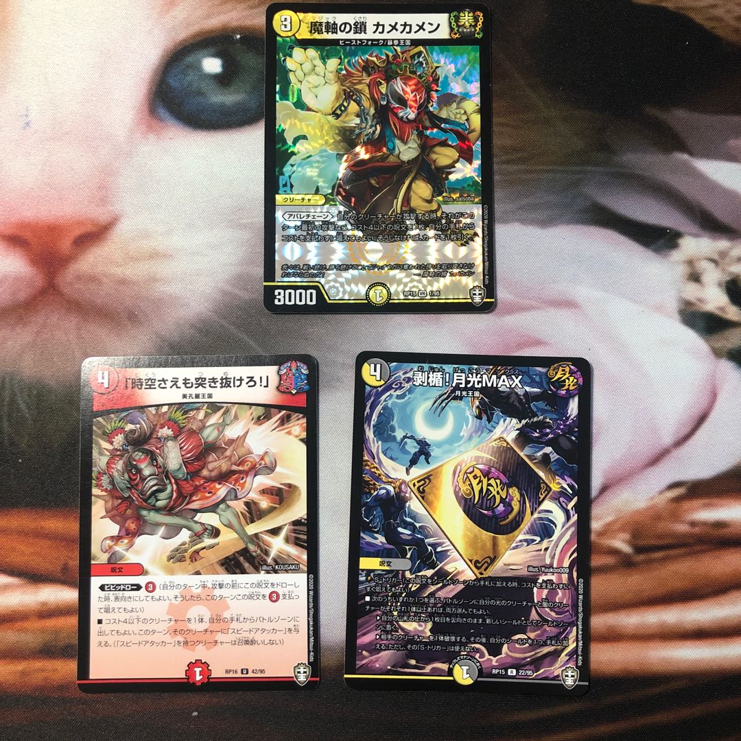 魔軸の鎖 カメカメン VR