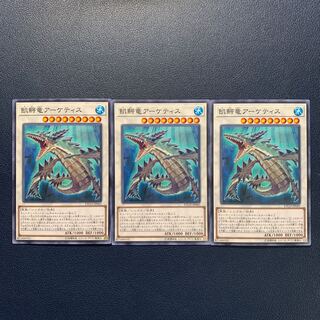 飢鰐竜アーケティス