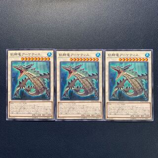 飢鰐竜アーケティス