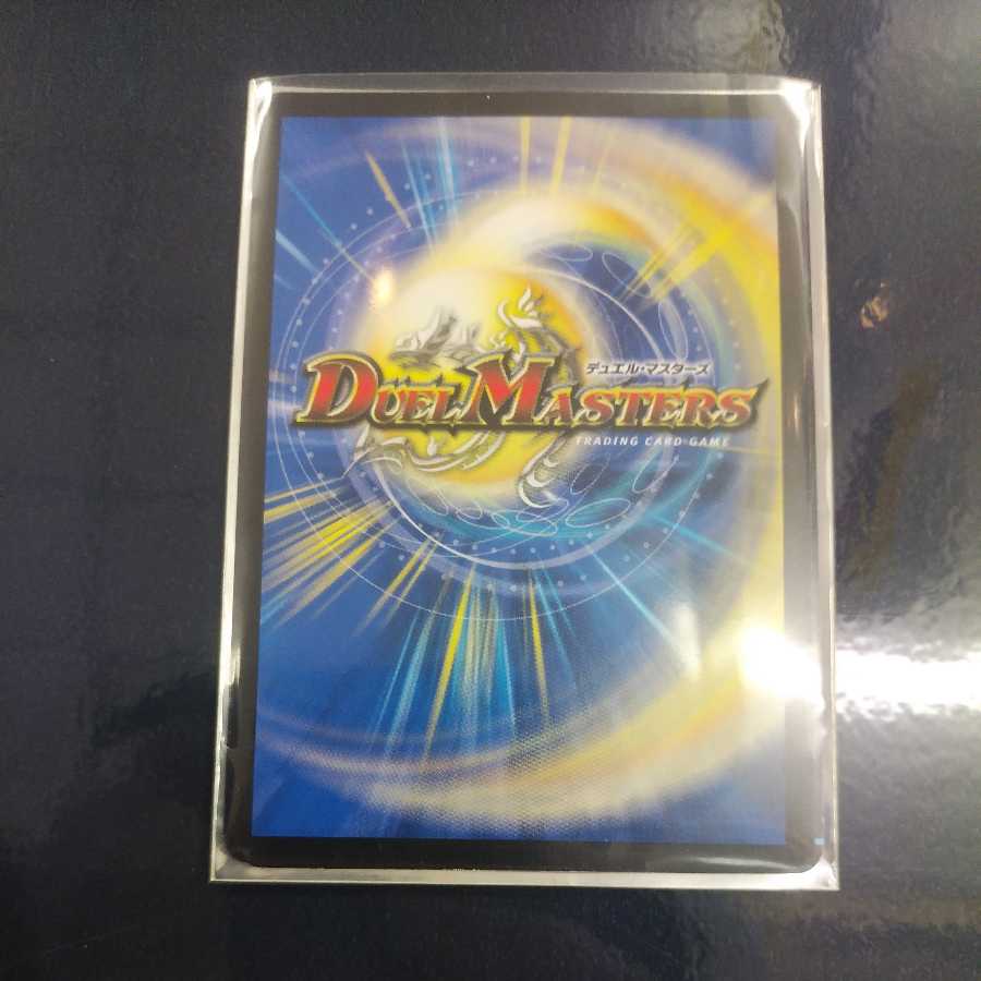 龍風混成 ザーディクリカ