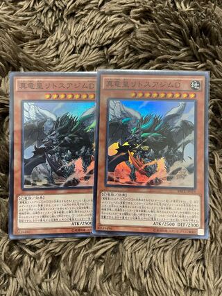 真竜皇リトスアジムD スーパーレア2枚