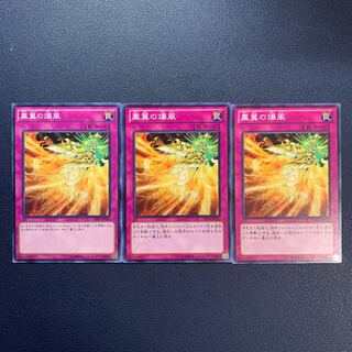 Phoenix Wing Wind Blast