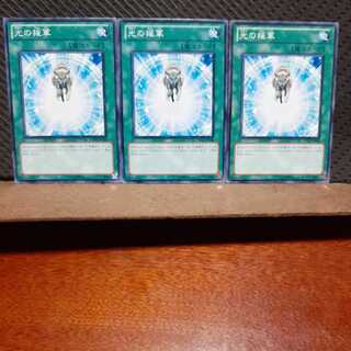 【ぽぽたん】遊戯王  8348  光の援軍 ノーマル  ３枚