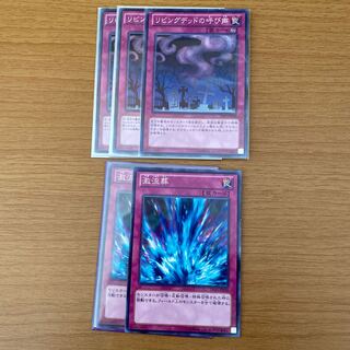 リビングデッドの呼び声　＋激流葬