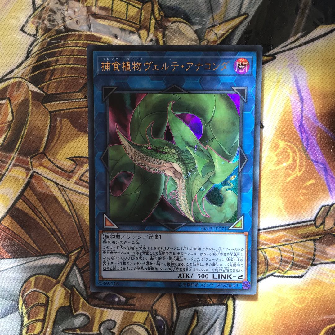 捕食植物ヴェルテアナコンダ