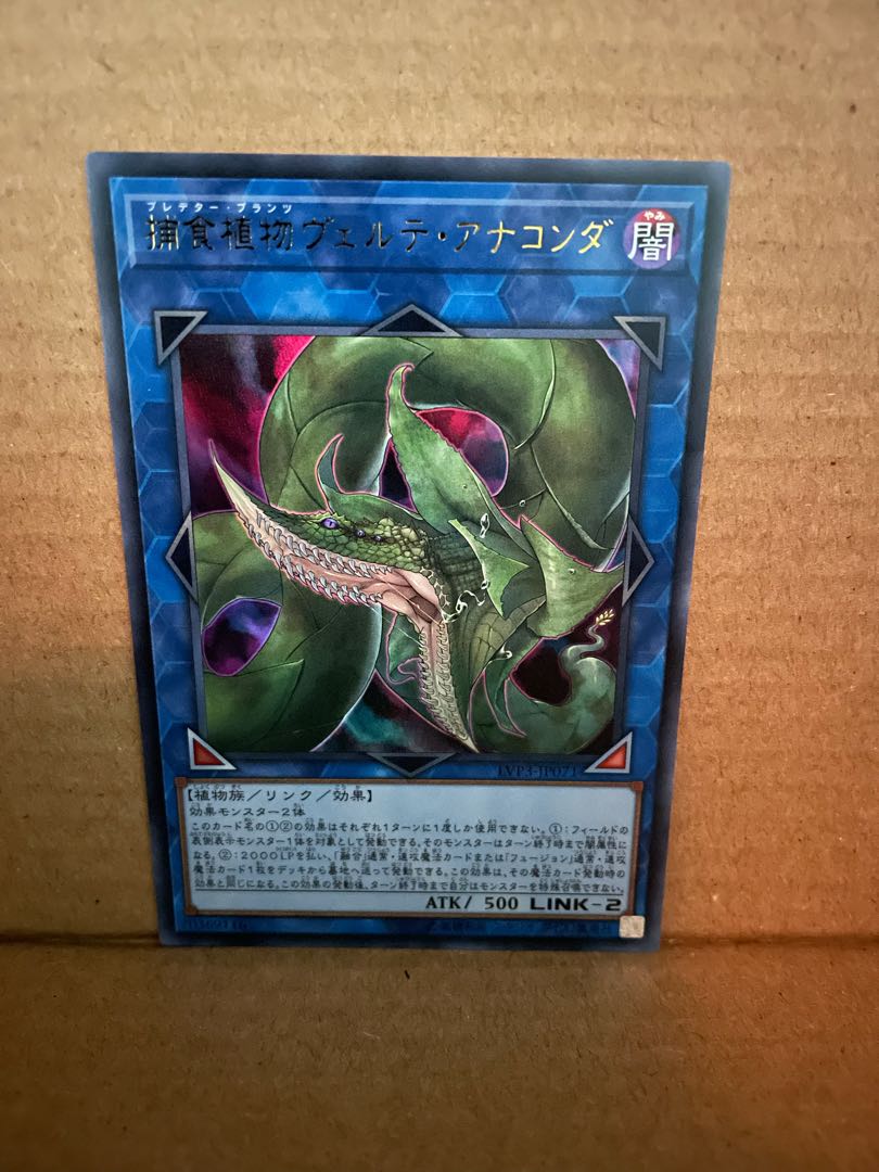 捕食植物ヴェルテ・アナコンダ ウルトラレア