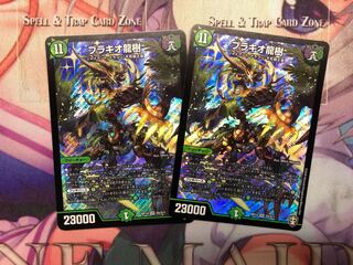 Dedicated to Mr. Kumasan Brachio Ryuki DDXXZ