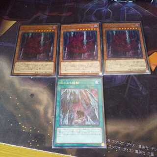 天威龍-ヴィシュダ 虚ろなる龍輪 チェイス遊戯王