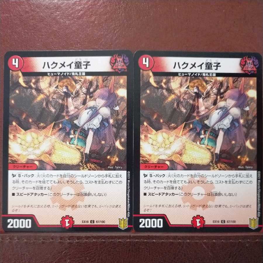 Exclusive for Mr. Sigmus Second Tkc194 Set Discount Haku Rosa Doji